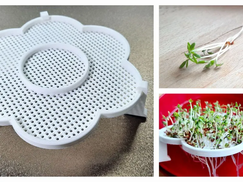 cress farm flower - Kresseblume