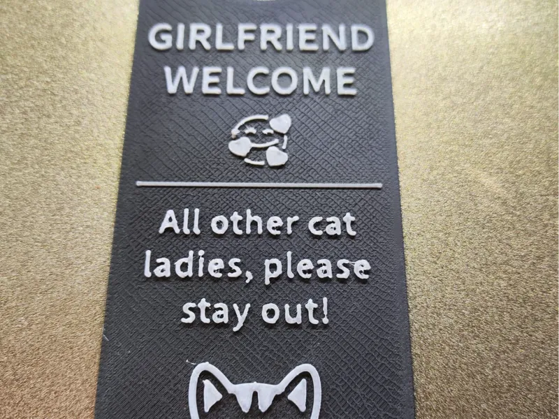 Funny cat lady's - do not disturb sign