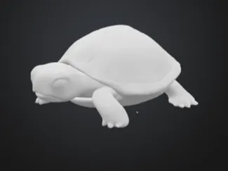 schildkröte