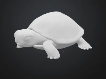schildkröte