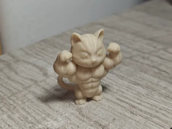https://makerworld.bblmw.com/makerworld/model/DSM00000001127525/design/2025-02-19_d19de5b6e685f.jpg