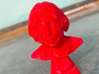Buste du Dr APJ Abdul Kalam — photo 1