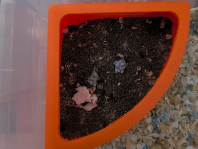 Hamster Djungarian Hamster Triangular Corner Toilet