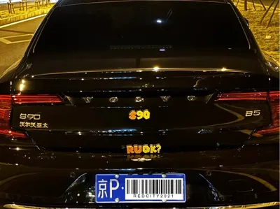 ruok magnetic car sticker