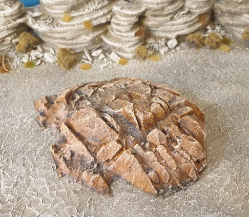 https://makerworld.bblmw.com/makerworld/model/DSM00000001129764/design/2025-02-20_d208ieehwoqb.png