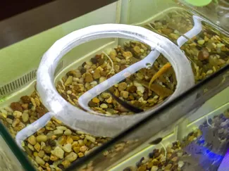 鱼缸喂食圈