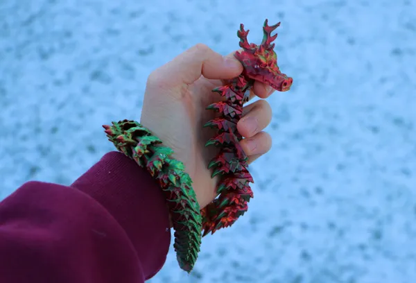 https://makerworld.bblmw.com/makerworld/model/DSM00000001130922/design/2025-02-21_ux7448a3f5xe.png