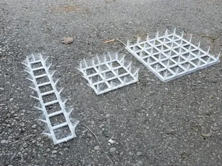 Potted plant Squirrel deterrents