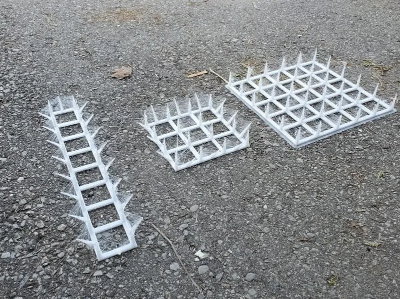Potted plant Squirrel deterrents