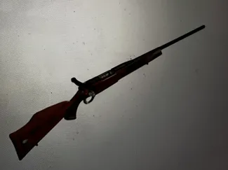 hunting rifle