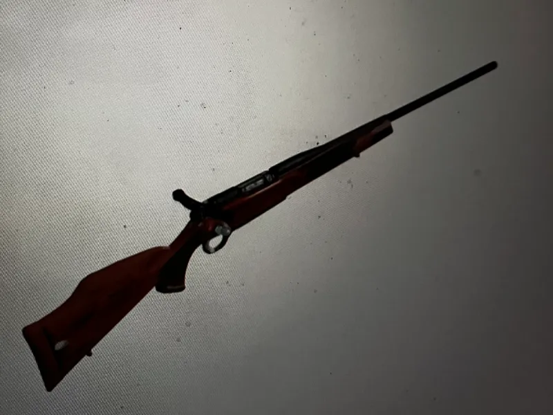 hunting rifle