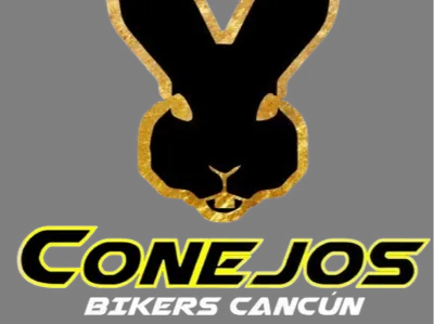 biker rabbits