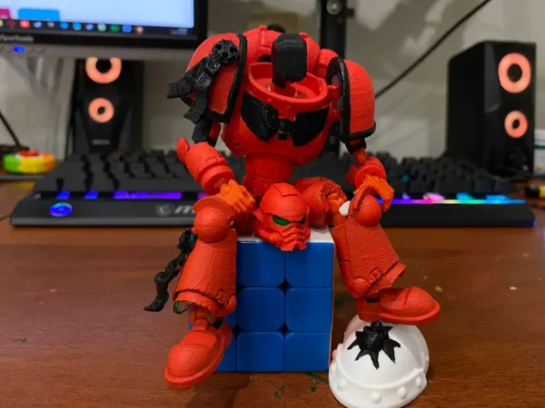 https://makerworld.bblmw.com/makerworld/model/DSM00000001137734/design/2025-02-22_832be62aa0adf.png