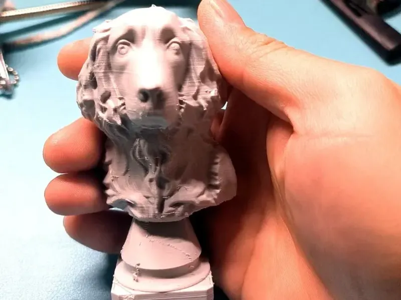 史宾格犬胸像