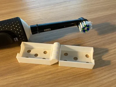 Travel Toothbrush Case