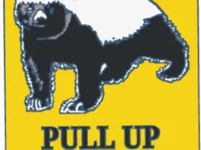 Honey Badger - Pull up