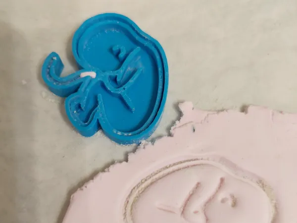 https://makerworld.bblmw.com/makerworld/model/DSM00000001140442/design/2025-02-23_9c1f680fda4af.jpg