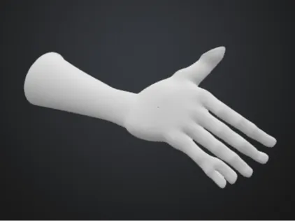 Sort of hand