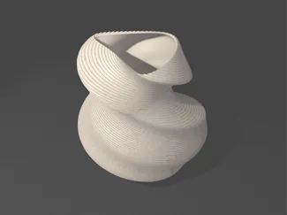 Asymmetric twisted vase