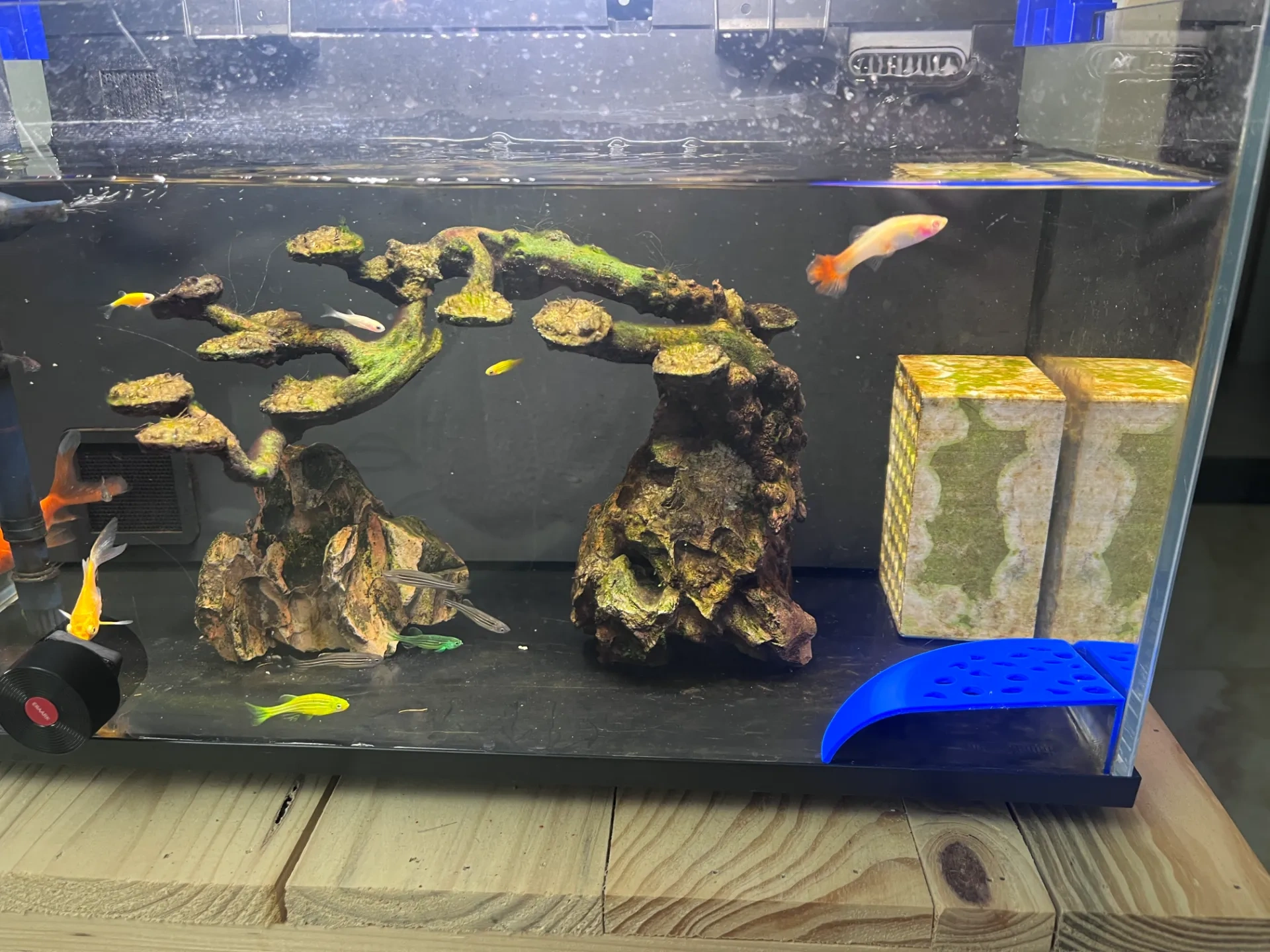 鱼缸转角鱼虾躲避屋