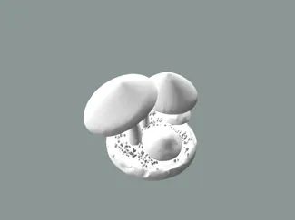Shrooms Mushrooms