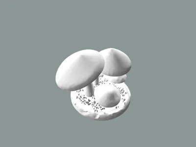 Shrooms Mushrooms