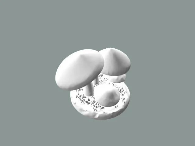 Shrooms Mushrooms