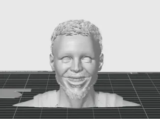 stephen curry busto