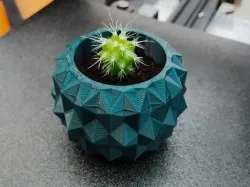 Geometric Succulent Pot