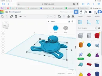 Beginner turtle