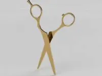 Scissor hair pin