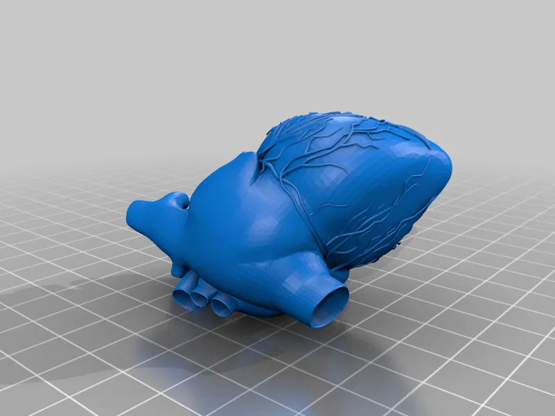 Heart Model