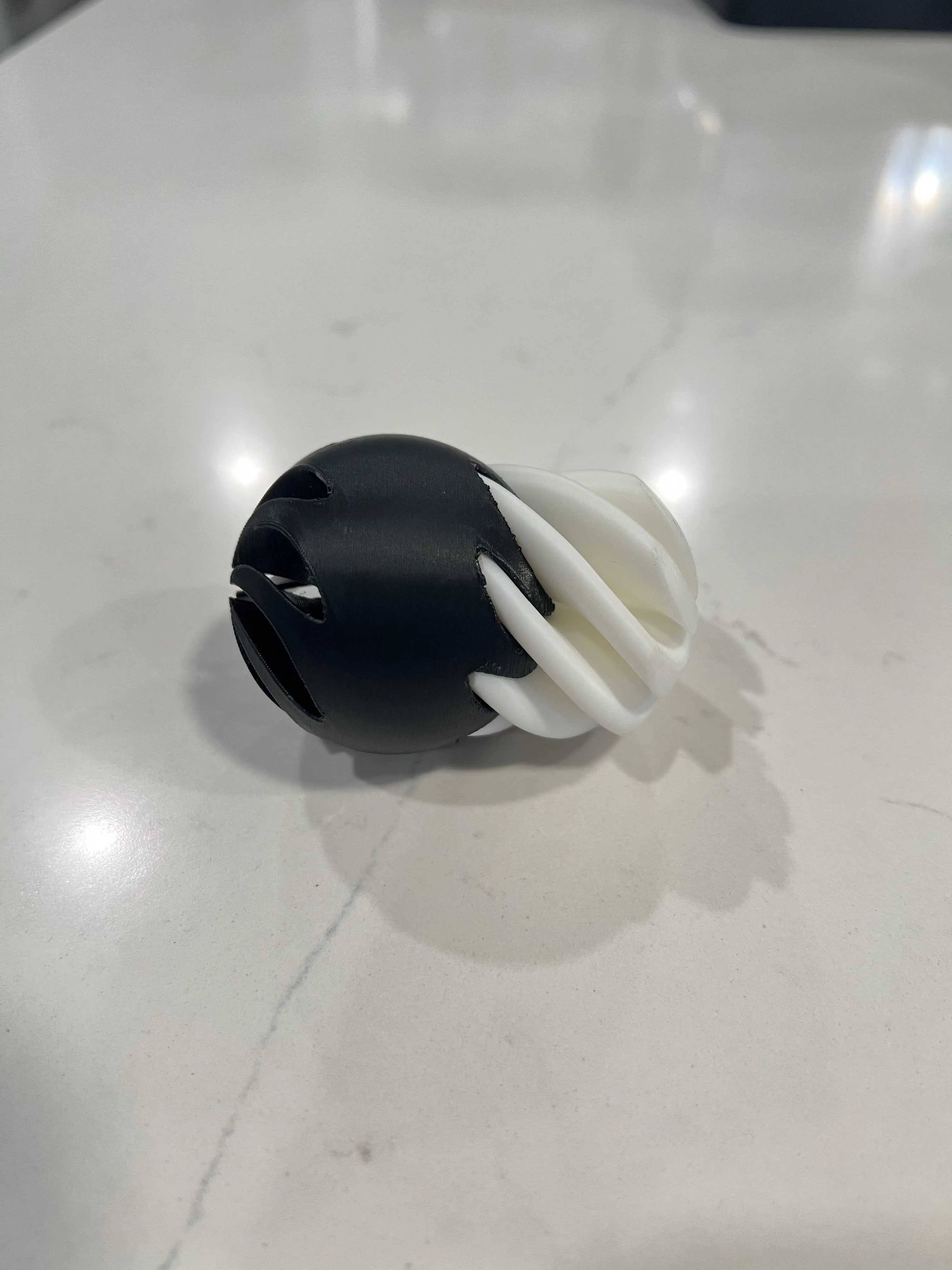 Fidget Toy