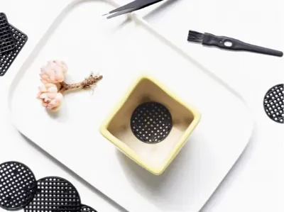 Planting mesh