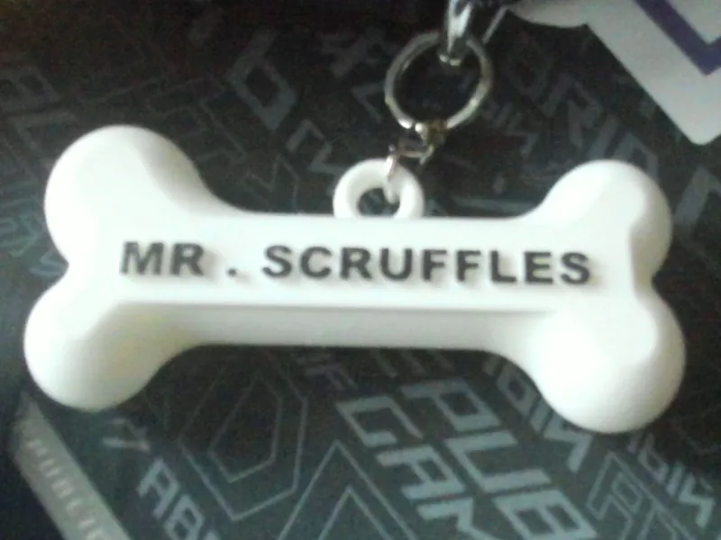dog bone name tag 