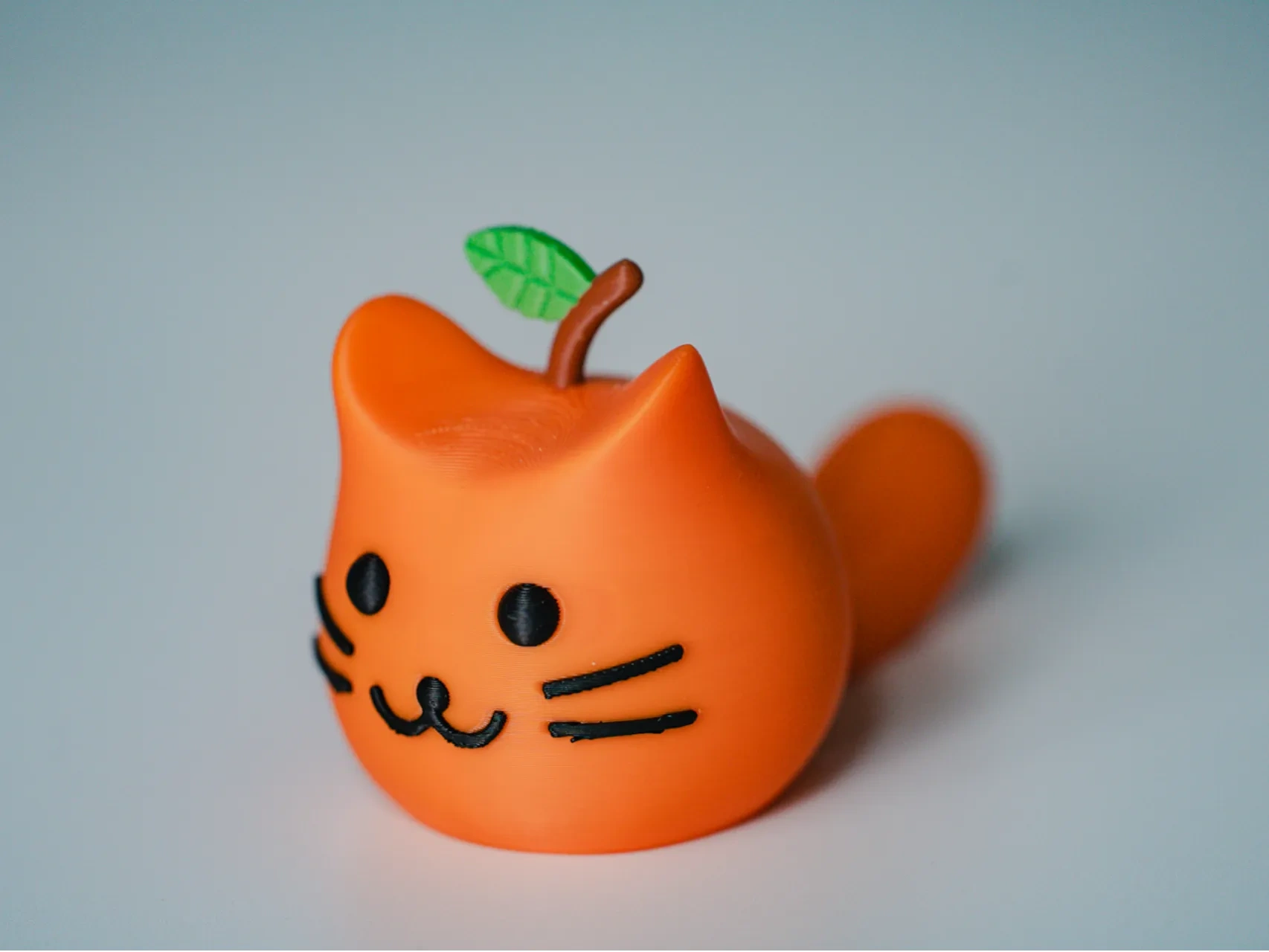 橘猫