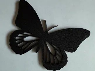 Schmetterling 