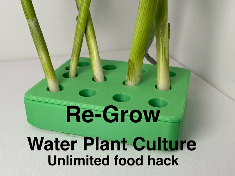 Re-Grow Water Plant Culture