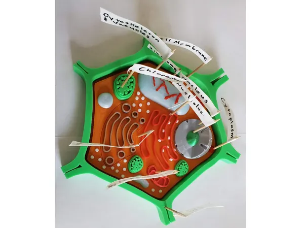 https://makerworld.bblmw.com/makerworld/model/DSM00000001150696/design/2025-02-25_3dda8467c4b11.jpg