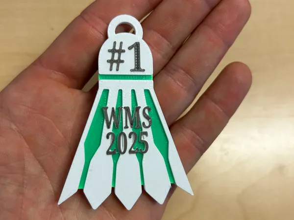 https://makerworld.bblmw.com/makerworld/model/DSM00000001150999/design/2025-02-25_759d2a1215a72.jpeg