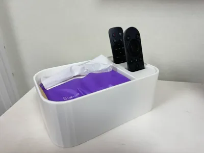 Tissue Box and Remote Control Organizer