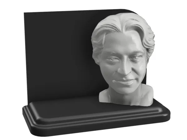 https://makerworld.bblmw.com/makerworld/model/DSM00000001155926/design/2025-02-27_1e26ea1d03b19.jpeg