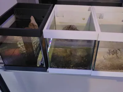 20-14-16 Aquarium Back Filter
