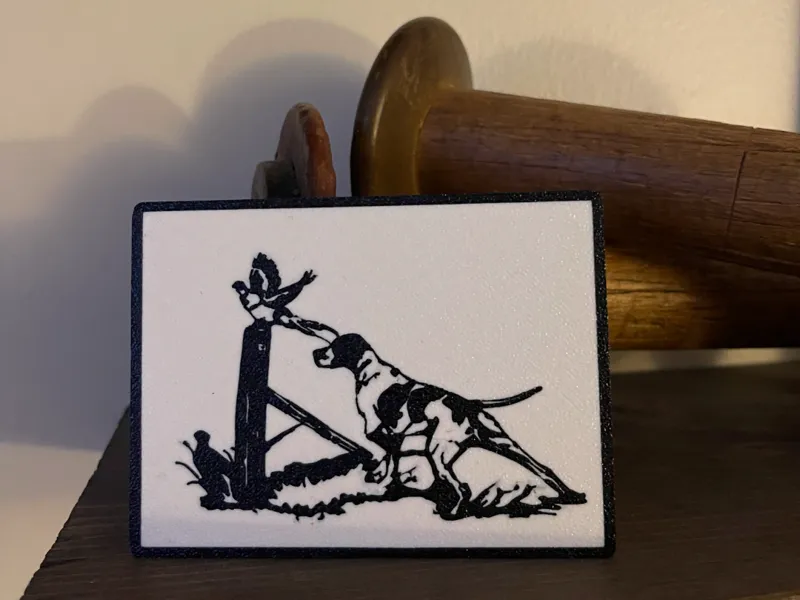 Hunting Bird Dog Picture 