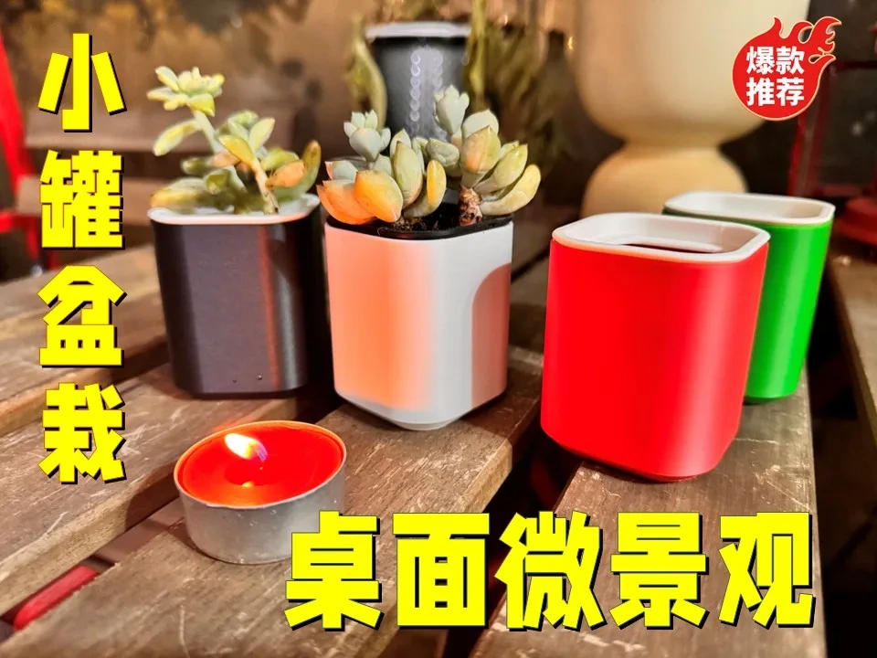 桌面微景观-小罐盆栽-小罐自然香氛台