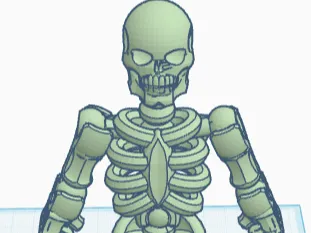 Skeleton