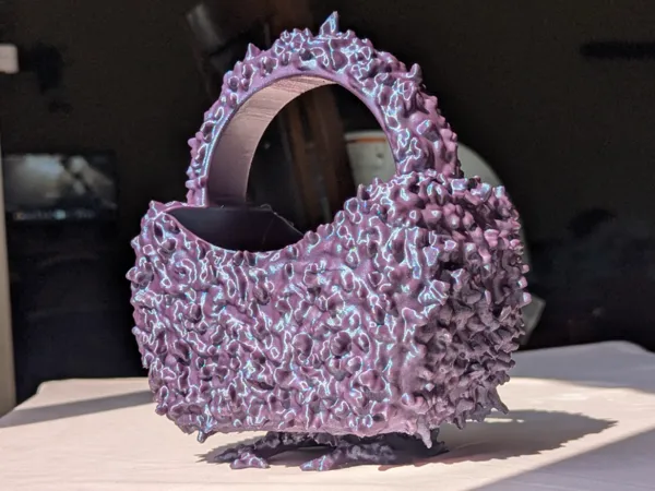 https://makerworld.bblmw.com/makerworld/model/DSM00000001165348/design/2025-03-02_74db32da76f03.jpg