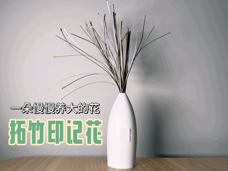拓竹印记花 慢慢长大记录打印战绩 致敬所有3D打印人
