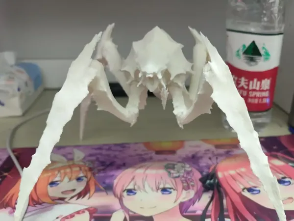 https://makerworld.bblmw.com/makerworld/model/DSM00000001166362/design/2c3dae3e-2a24-4694-ae70-ce0462fa5ed8.webp