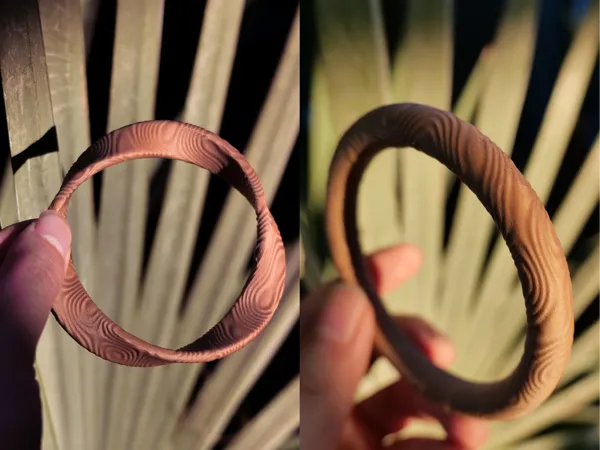 https://makerworld.bblmw.com/makerworld/model/DSM00000001166456/design/7bc0b091-3a88-4a2f-92f2-12ca07bf11b8.webp